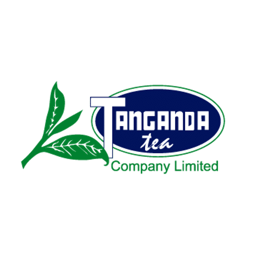 tanganda tea fair trade from zimbabwe